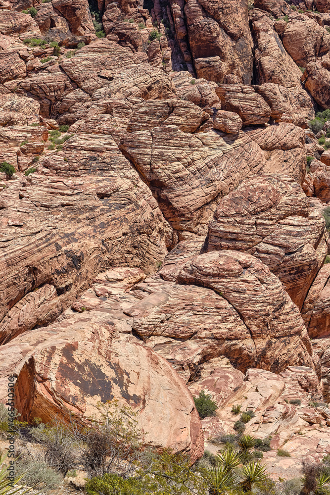 Obraz premium Nevada Desert Red Rocks in the desert