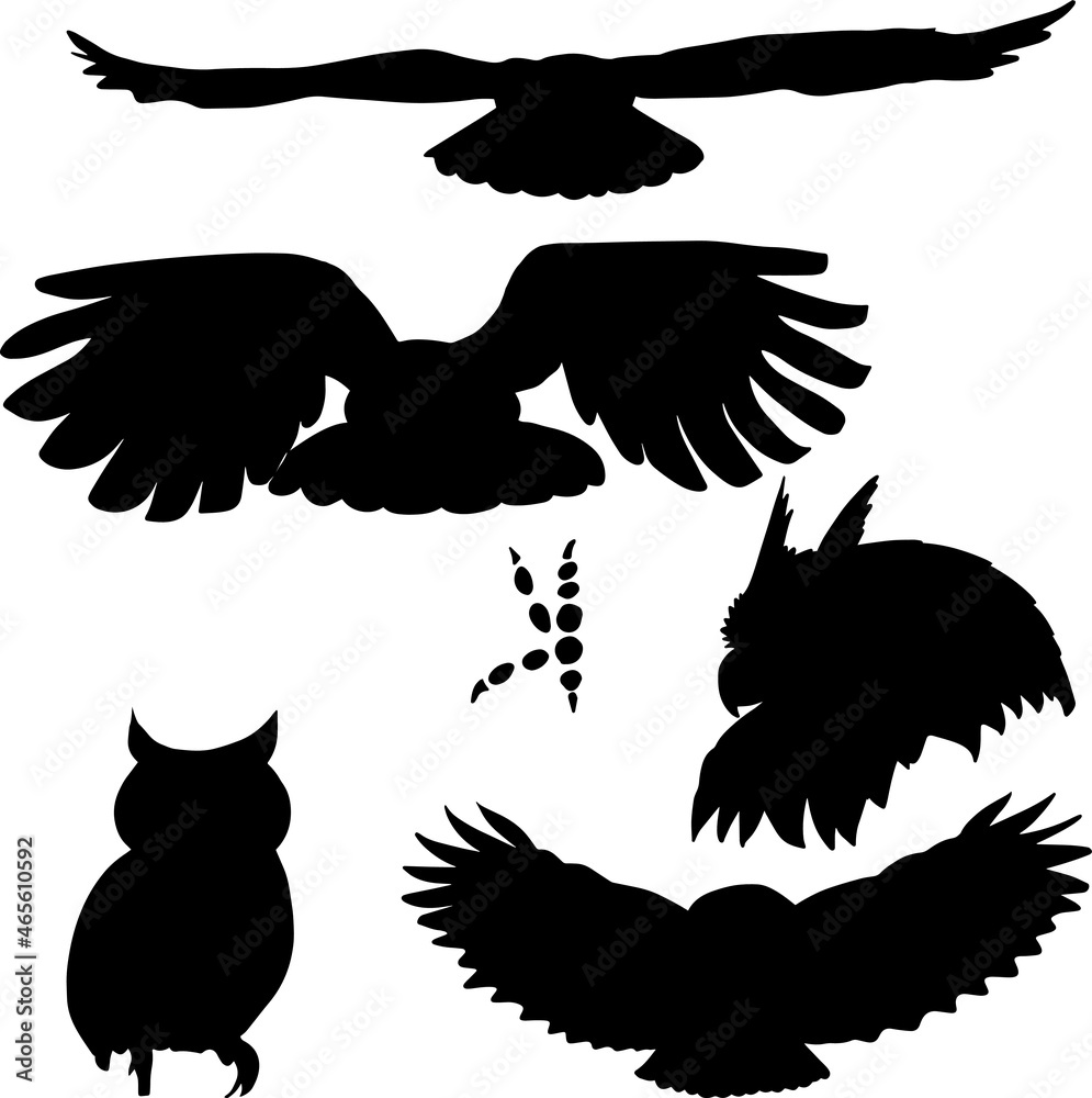 Obraz premium Set of hand drawn black owl silhouette birds, vector file