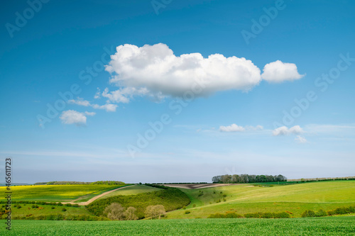 Yorkshire wolds with fields of wheat under large cloud and bright sky. Sledmere, UK.