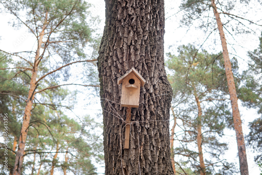 Birdhouse attached to a tree trunk Birdhouse attached to a tree trunk