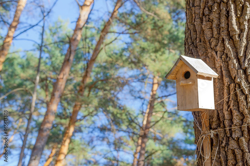 Bird house in the forest