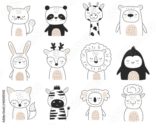 Vector hand drawn woodland animals for nursery decoration. Line art clipart. Bear, rabbit, cat, panda, giraffe, deer, lion, penguin, fox, zebra, koala, sheep. Perfect for baby shower, birthday