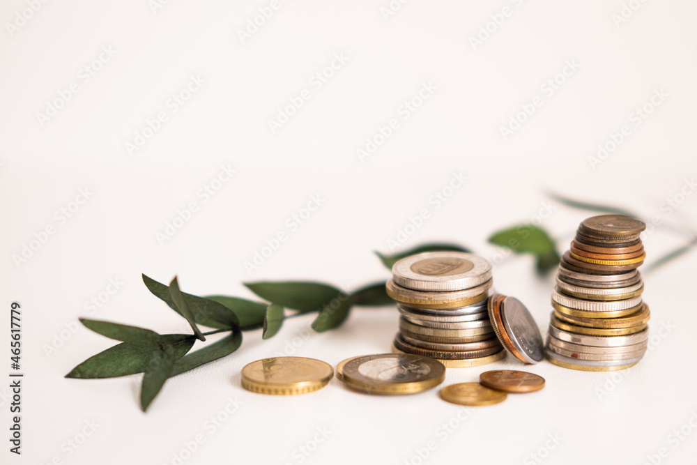 Money coins stacked on each other in different positions on a white background with a eucalyptus branch. The pyramid of money. Metal money is a trifle Money coins stacked on each other in different positions on a white background with a eucalyptus branch. The pyramid of money. Metal money is a trifle