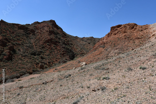 The texture of the rock of the ancient canyon, small bushes of grass and red breed