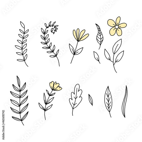 Vector set with hand-drawn flowers  leaves  and branches