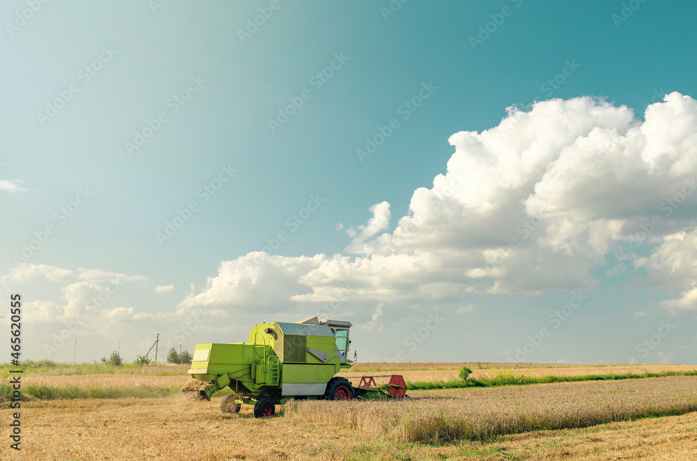 Fototapeta premium Harvester on a wheat field under a blue sky with clouds