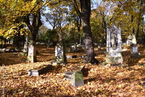 Stary Cmentarz, w Podgórzu, nagrobki, grobowce, 