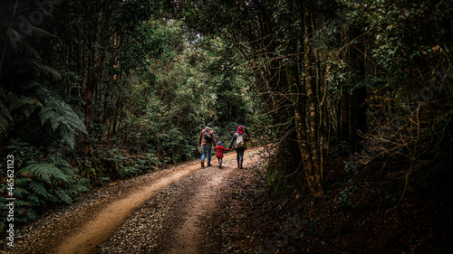 Familia caminando por sendero en el bosque.
