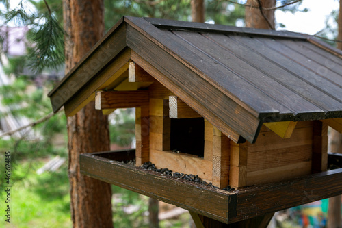 Wooden bird feeder in the summer forest. Caring for the environment.