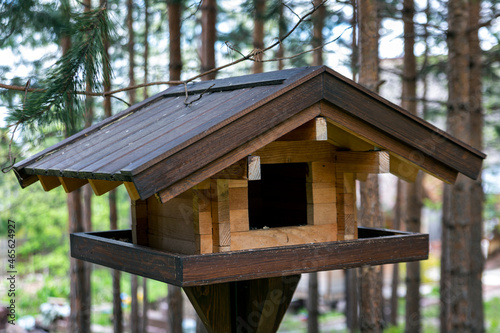 Wooden bird feeder in the summer forest. Caring for the environment.