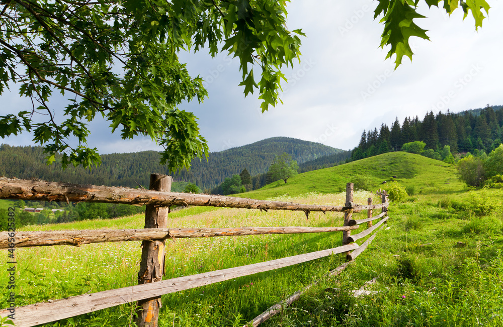 Wooden fence across green mountain pasture, tree brunch over the fence. Ukraine, Carpathians.