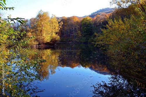 autumn trees reflected in water