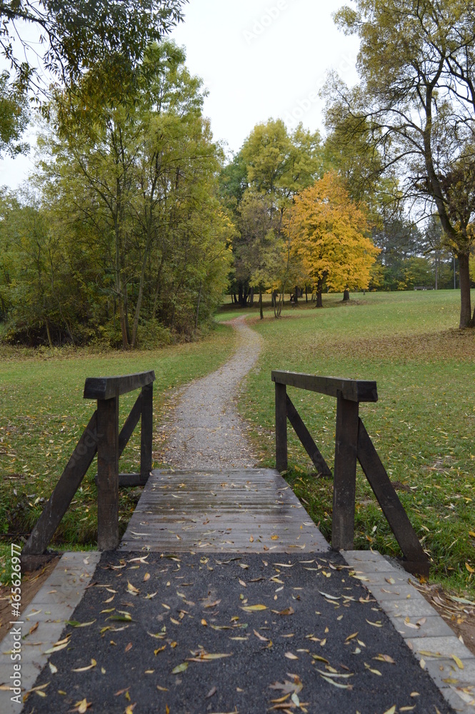 wooden bridge in the park