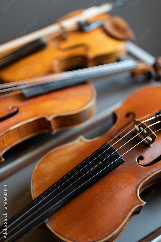 Fototapeta premium A shallow depth of field shot of a violin or a viola which is a string instrument that is common to a classical orchestra
