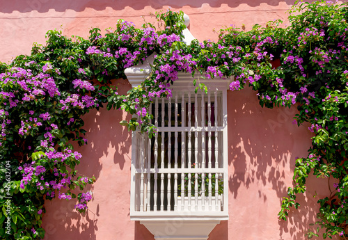 white window full of green foliage with pink flowers. 