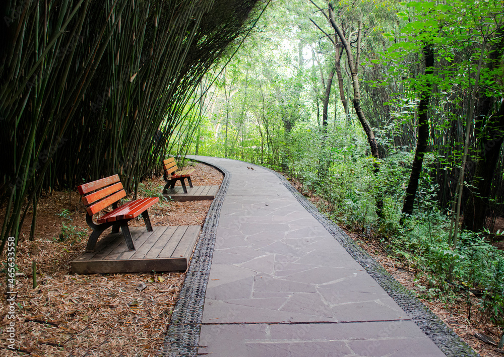  Chengdu Sanctuary.