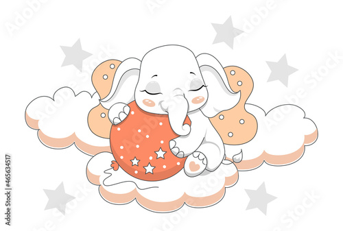 Cute baby elephant photo