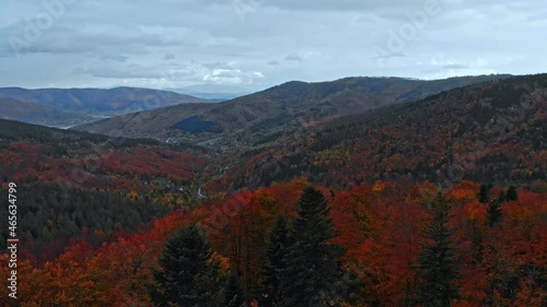 Cinematic movement - tilt down. Beatifull and smooth fly above autumn forest.