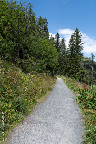 Arosa, Switzerland, August 15, 2021 Walkway into the forest