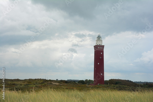 Beach grass with lighthouse Westhoofd on the right  in Ouddorp in the Netherlands