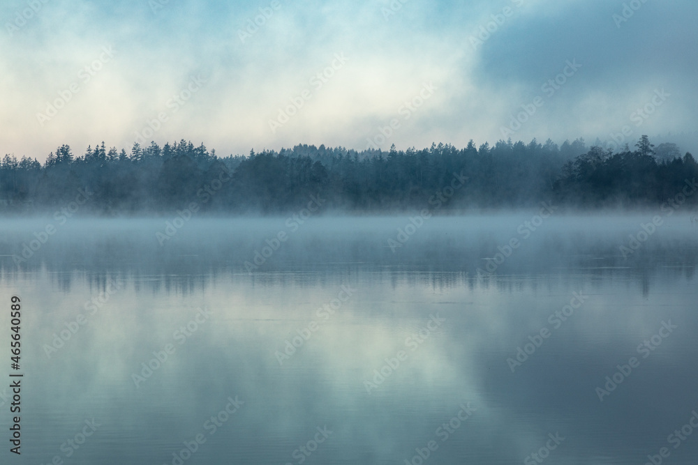 mystischer Herbstnebel am See - Weiher - Fantasy