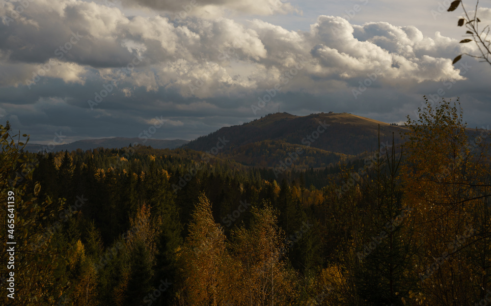 View of colorful autumn on Carpathian mountains forest with cloudy sky in Ukraine