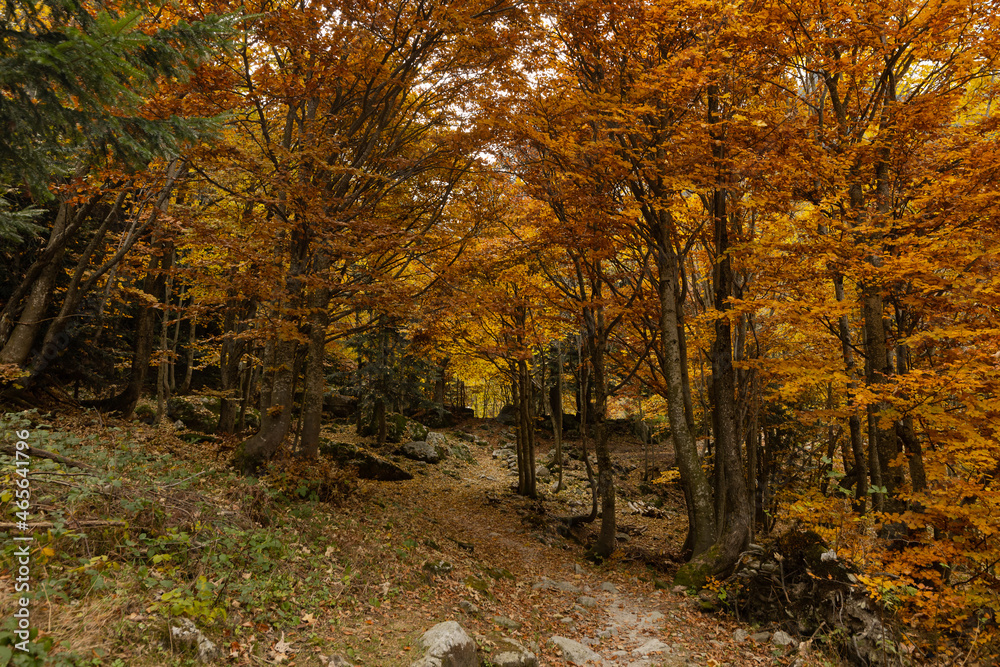 Obraz premium Walking in the Marguareis Natural Park, Pesio Valley Maritime Alps, Cuneo, Italy