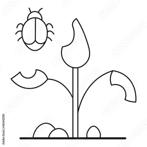 Houseplant sprout and beetle ecological icon isolated