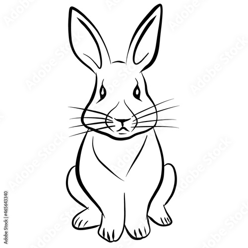 The silhouette of a rabbit or hare. Bunny on a white background. A long-eared rodent from a farm. Fluffy pet