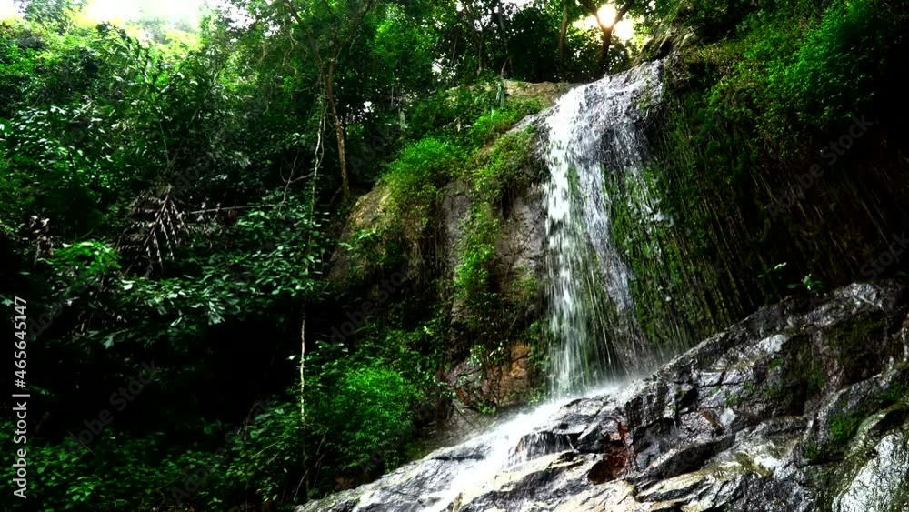 Small waterfall and its falling stream of water in tropical forest are filmed from below. Splashes of cascade flow on stone covered by moss. Summer day in jungle. Concept of nature and the environment Small waterfall and its falling stream of water in tropical forest are filmed from below. Splashes of cascade flow on stone covered by moss. Summer day in jungle. Concept of nature and the environment