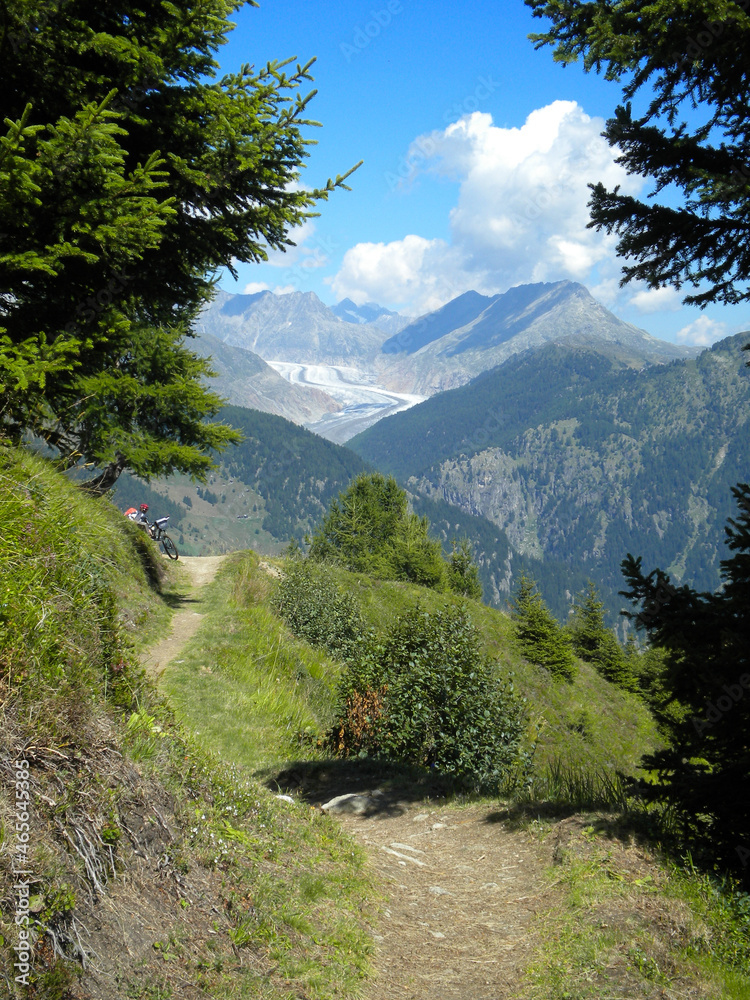 Fototapeta premium Panorama alpino in Svizzera