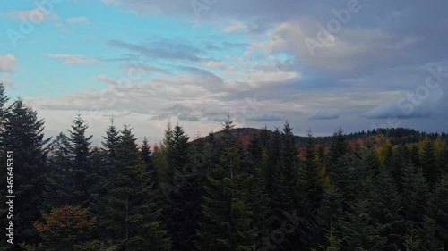 Cinematic movement - tilt up. Beatifull and smooth fly above autumn forest with final panorama view of city in background.
