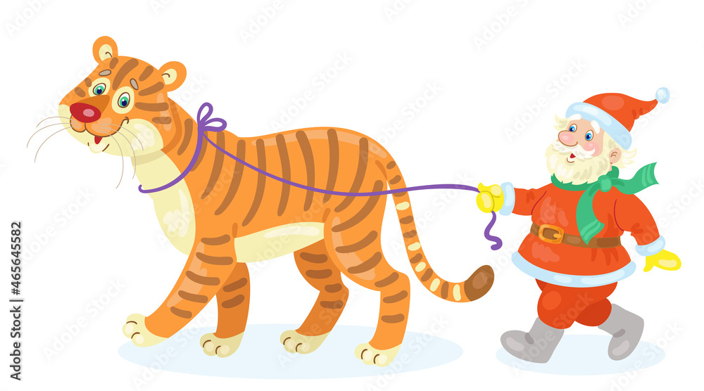 Cute Santa Claus walks with a tiger - symbol of the New Year. In cartoon style. Isolated on white background. Vector flat illustration.