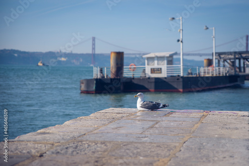 Lisbon landscape