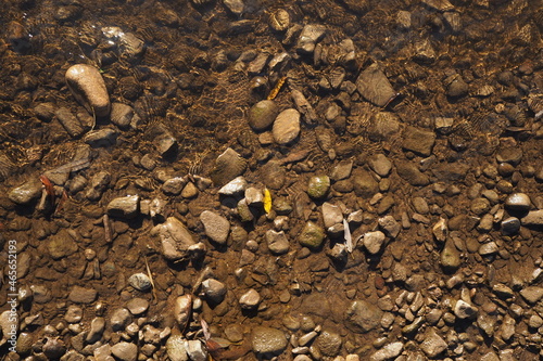 Mokre kamienie na brzegu rzeki