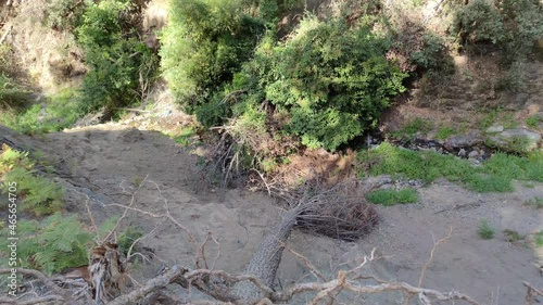 After The Storm in moroccan mountain, fallen and uprooted trees in a forest area photo