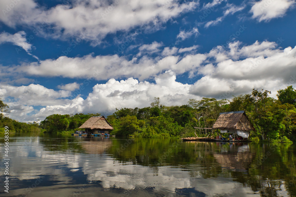 The flooded forest in the Peruvian amazon