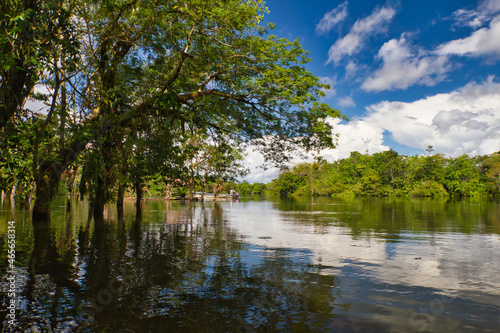 The flooded forest in the Peruvian amazon