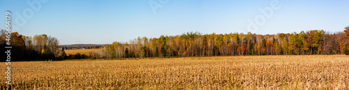 Harvested cornfield next to a colorful forest in Wisconsin
