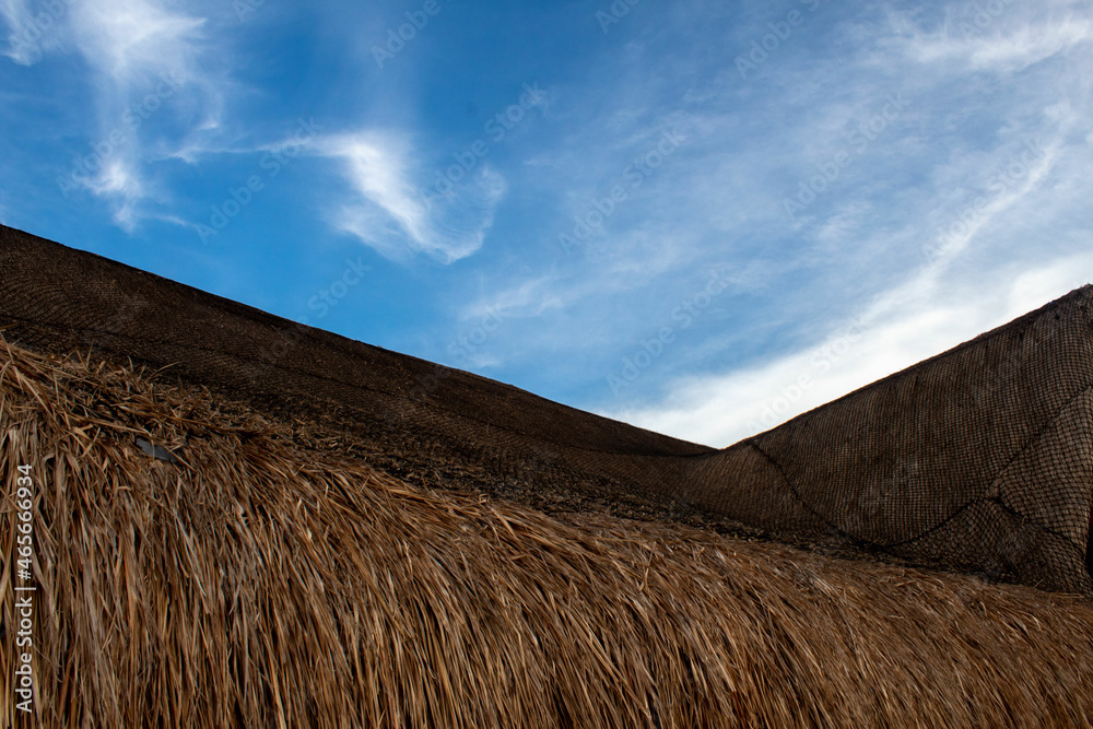 Naklejka premium Tropical palm roof top