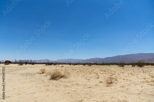Desert sand landscape in Borrego Springs on a sunny summer day