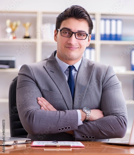 Tableau sur toile Businessman working in the office