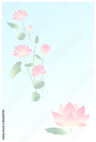 淡い色合いの蓮の花の文字なしポストカード
