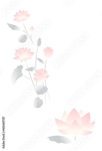 淡い色合いの蓮の花の文字なしポストカード
