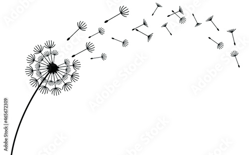 Fototapeta Naklejka Na Ścianę i Meble -  Flying dandelion seeds, vector icon. Vector isolated decoration element from scattered silhouettes. 