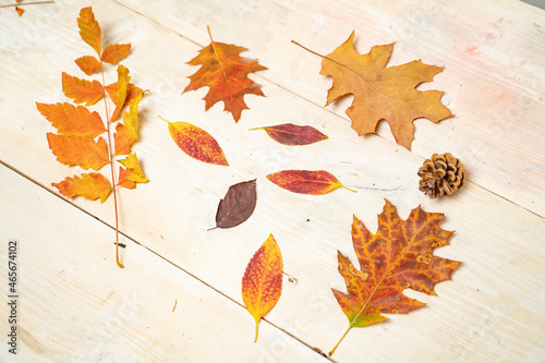 Few dry, red leaves on pastel planks, Autumn season background 