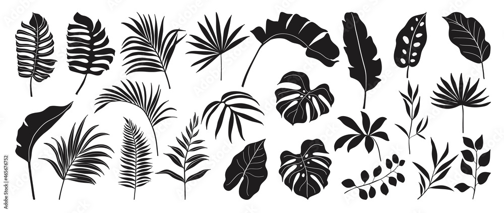 Tropical leaves vector. Set of palm leaves silhouettes isolated on white background. Vector EPS10 - obrazy, fototapety, plakaty 