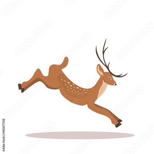 Young noble sika deer. Reindeer with antlers in jump. Ruminant mammal animal. Vector illustration in flat cartoon style.