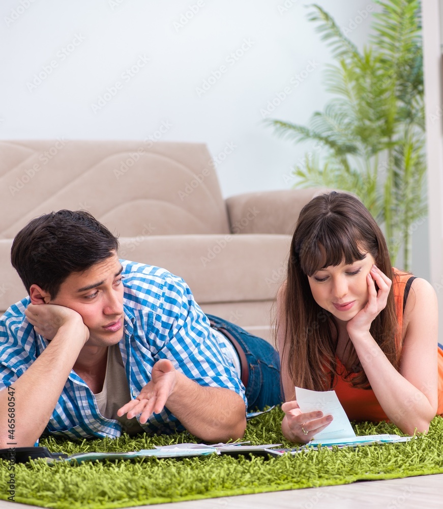 Young family in budget planning concept Young family in budget planning concept