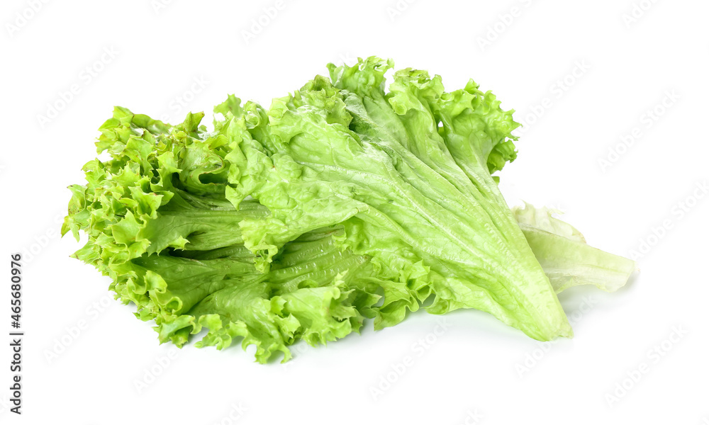 Lettuce leaves isolated on white background Lettuce leaves isolated on white background